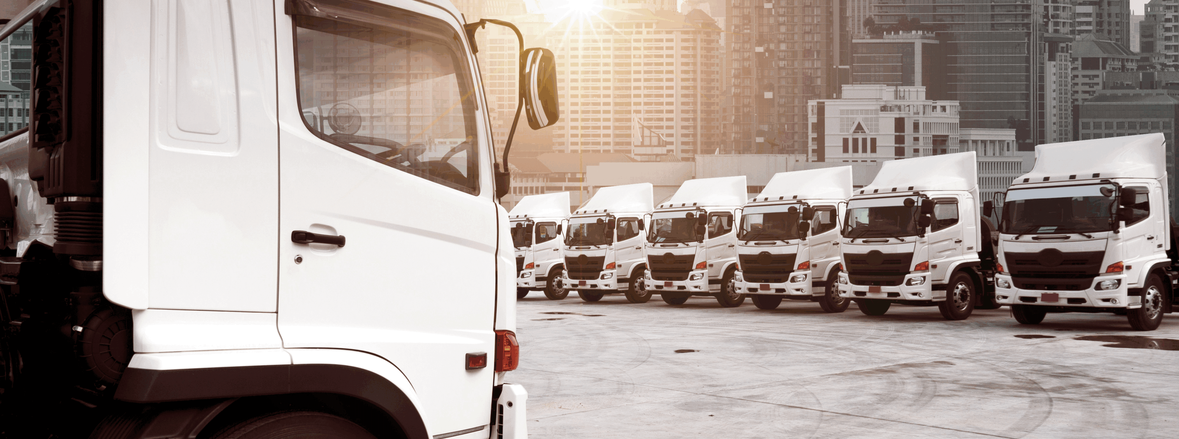 TE Express transport fleet